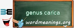 WordMeaning blackboard for genus carica